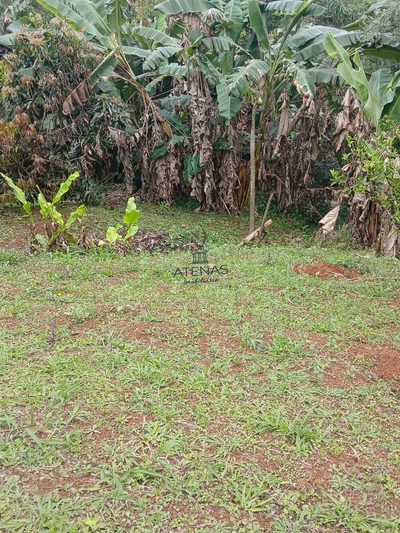 Terreno, 312 m² - Foto 1