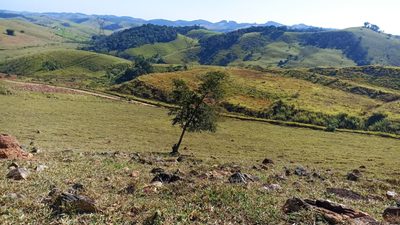 Terreno, 200 m² - Foto 5