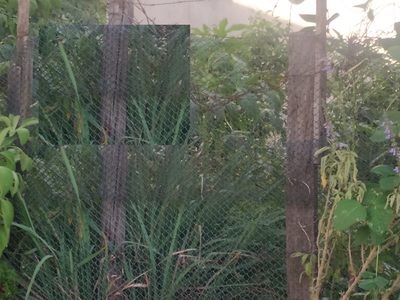 Terreno, 150 m² - Foto 1