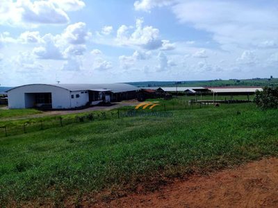Fazenda, 842 hectares - Foto 1