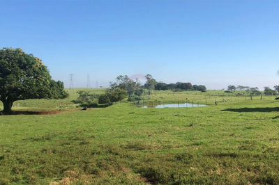 Sítio, 8 quartos, 285000 m² - Foto 2
