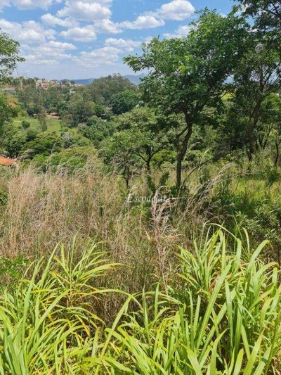 Terreno, 2 hectares - Foto 5