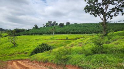 Fazenda, 73 hectares - Foto 2
