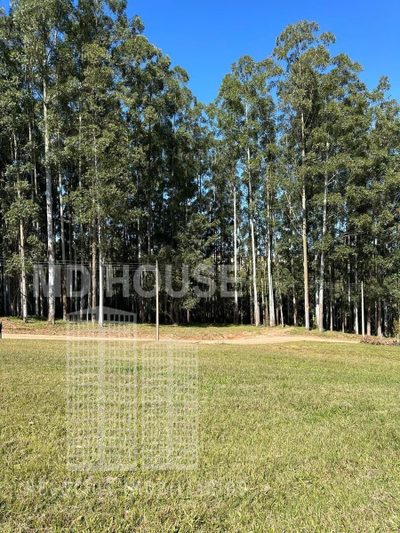 Terreno, 450 m² - Foto 3