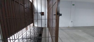 Prédio Inteiro, 740 m² - Foto 5
