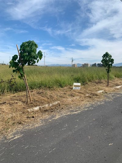 Terreno, 175 m² - Foto 5