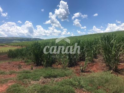 Fazenda, 175 m² - Foto 5