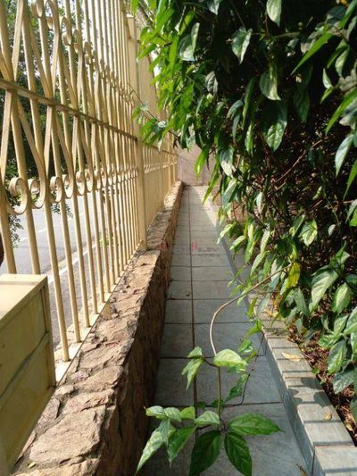 Casa, 3 quartos, 199 m² - Foto 3
