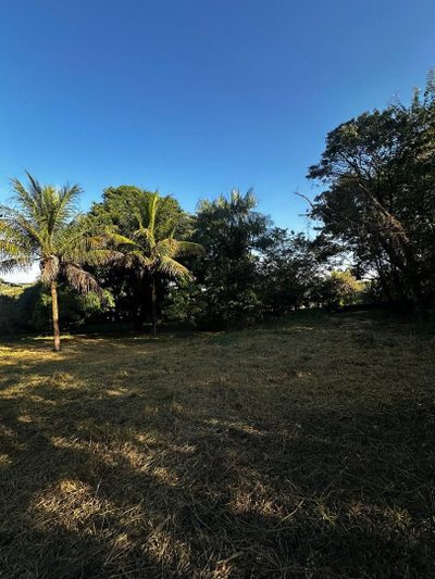 Chácara, 2 quartos, 5050 m² - Foto 5