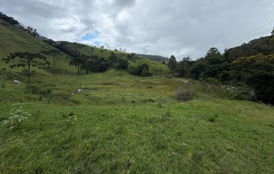 Fazenda, 73 hectares - Foto 2