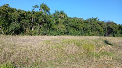 Terreno, 203 hectares - Foto 2