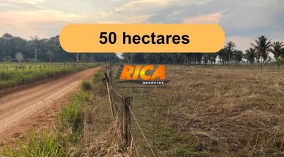 Sítio, 50 hectares - Foto 1
