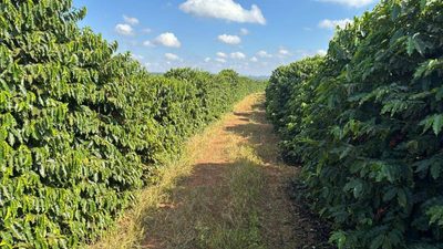 Fazenda, 130 m² - Foto 5