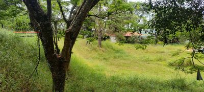 Chácara, 4 quartos, 6 hectares - Foto 4
