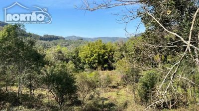 Terreno, 2 hectares - Foto 1