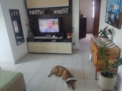 Apartamento, 3 quartos, 214 m² - Foto 3