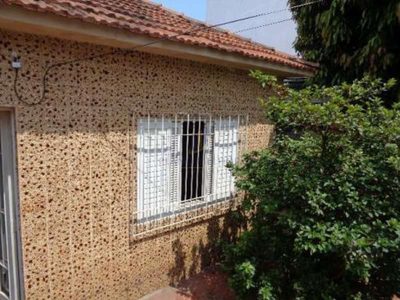 Terreno - Foto 1