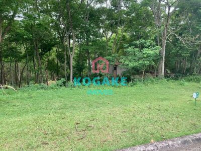 Terreno, 1300 m² - Foto 3