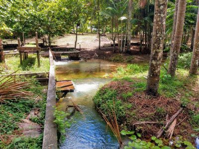 Fazenda, 3 hectares - Foto 1