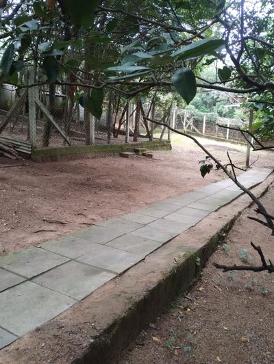 Chácara, 2 quartos, 999 m² - Foto 3