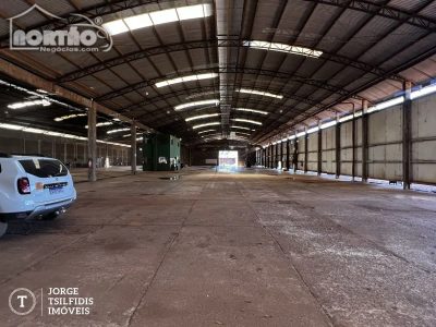 Casa, 2 quartos, 3200 m² - Foto 4