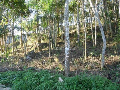 Terreno, 517 m² - Foto 1