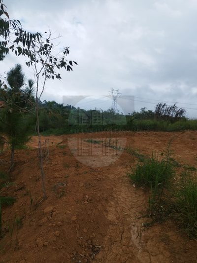 Terreno, 100 m² - Foto 5