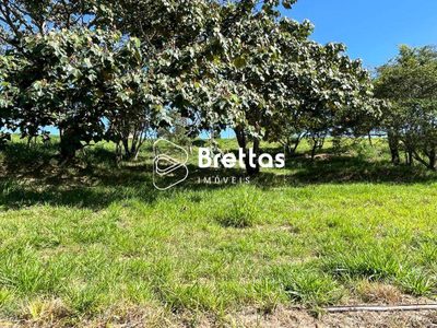 Terreno, 600 m² - Foto 4