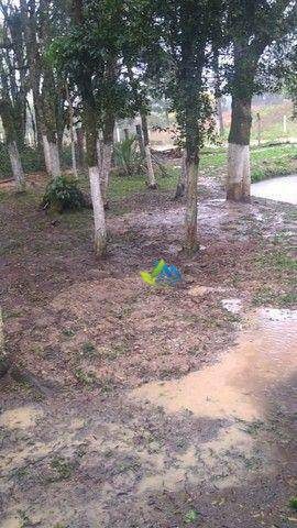 Chácara, 2 quartos, 2600 m² - Foto 4