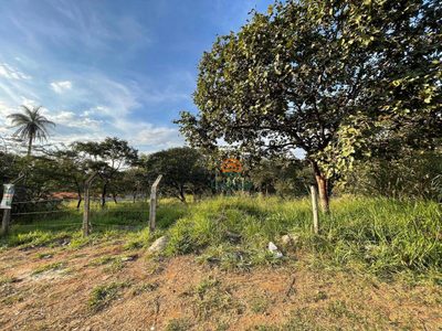 Terreno, 4486 m² - Foto 4