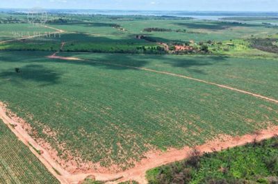Fazenda, 1157 hectares - Foto 4