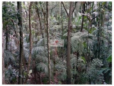 Fazenda, 1 hectares - Foto 3