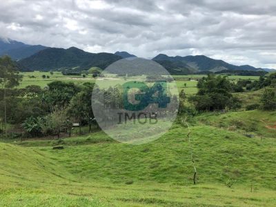 Chácara, 4 quartos - Foto 2