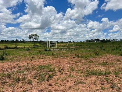 Fazenda, 114 hectares - Foto 4
