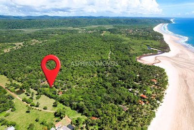 Terreno, 4 hectares - Foto 1