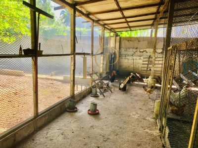 Fazenda, 5000 m² - Foto 4