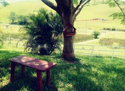 Sítio, 4 quartos, 4 hectares - Foto 2