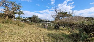 Terreno, 3 hectares - Foto 1