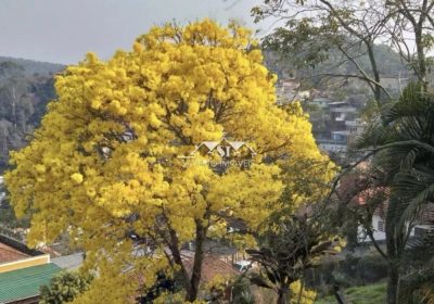 Terreno, 270 m² - Foto 4