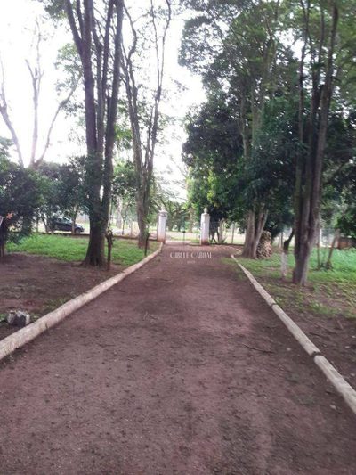 Chácara, 3 quartos, 6600 m² - Foto 3