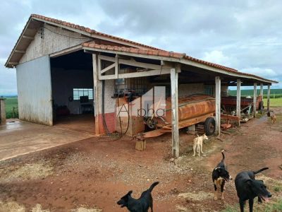 Sítio, 4 quartos, 87 hectares - Foto 4