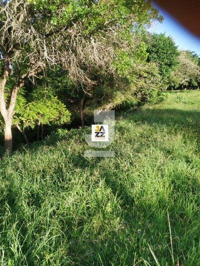 Sítio, 2 hectares - Foto 4