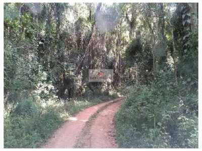 Fazenda, 1 hectares - Foto 4
