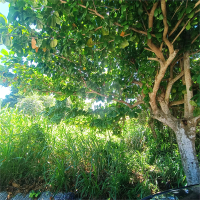 Terreno, 450 m² - Foto 1