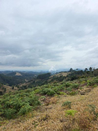 Terreno, 2 hectares - Foto 4