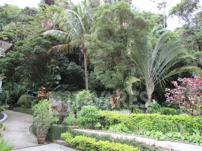 Casa, 9 quartos, 596 m² - Foto 3