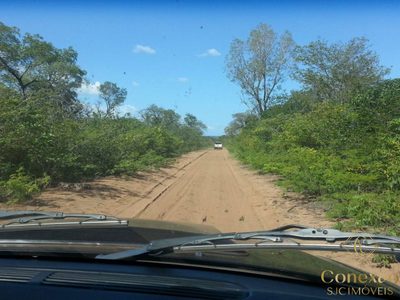 Fazenda, 176000 hectares - Foto 2