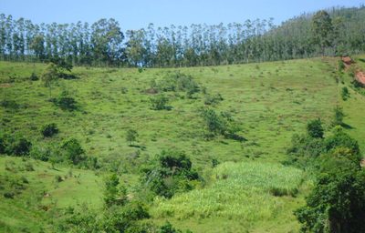 Terreno - Foto 3