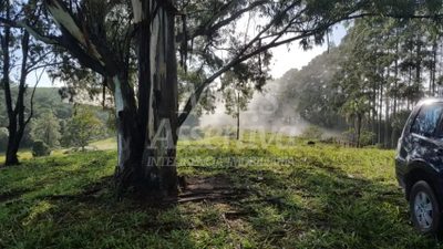 Chácara, 14 hectares - Foto 4