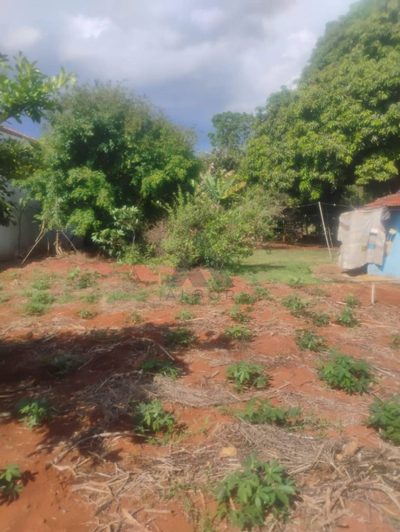 Terreno, 1000 m² - Foto 2